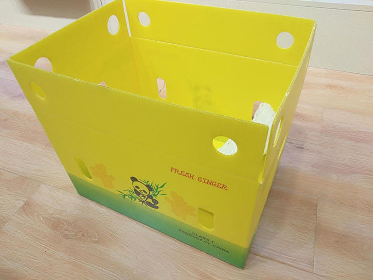 ζαρωμένα Cartonplast κιβώτια κιβωτίων 3.5mm ζαρωμένα μάγκο για τη συσκευασία φρούτων
