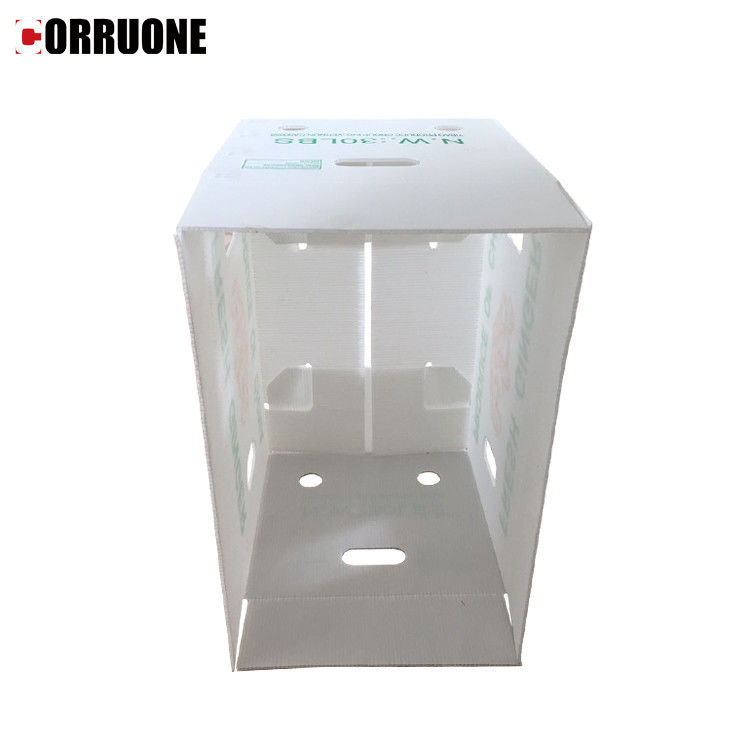 ζαρωμένα Cartonplast κιβώτια κιβωτίων 3.5mm ζαρωμένα μάγκο για τη συσκευασία φρούτων