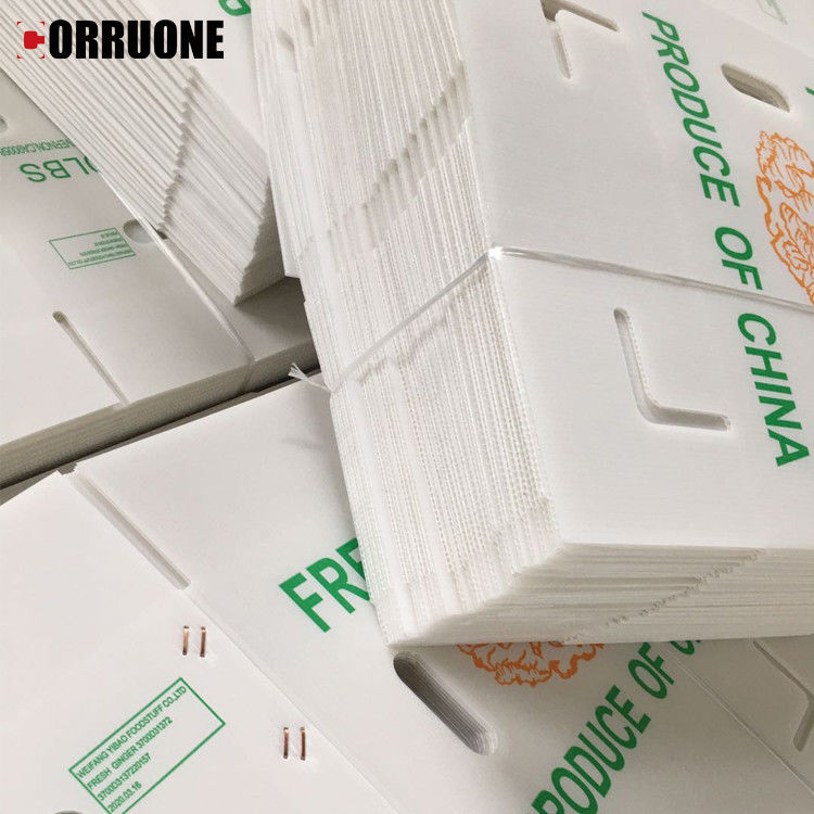 ζαρωμένα Cartonplast κιβώτια κιβωτίων 3.5mm ζαρωμένα μάγκο για τη συσκευασία φρούτων