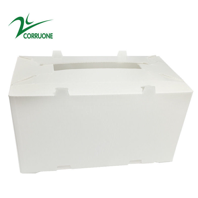 πτυσσόμενα ζαρωμένα πλαστικά κιβώτια Coroplast Correx χαρτοκιβωτίων 2mm11mm κοίλα