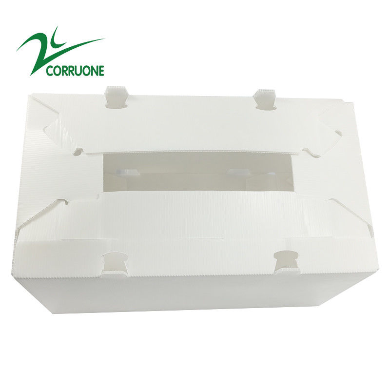 πτυσσόμενα ζαρωμένα πλαστικά κιβώτια Coroplast Correx χαρτοκιβωτίων 2mm11mm κοίλα