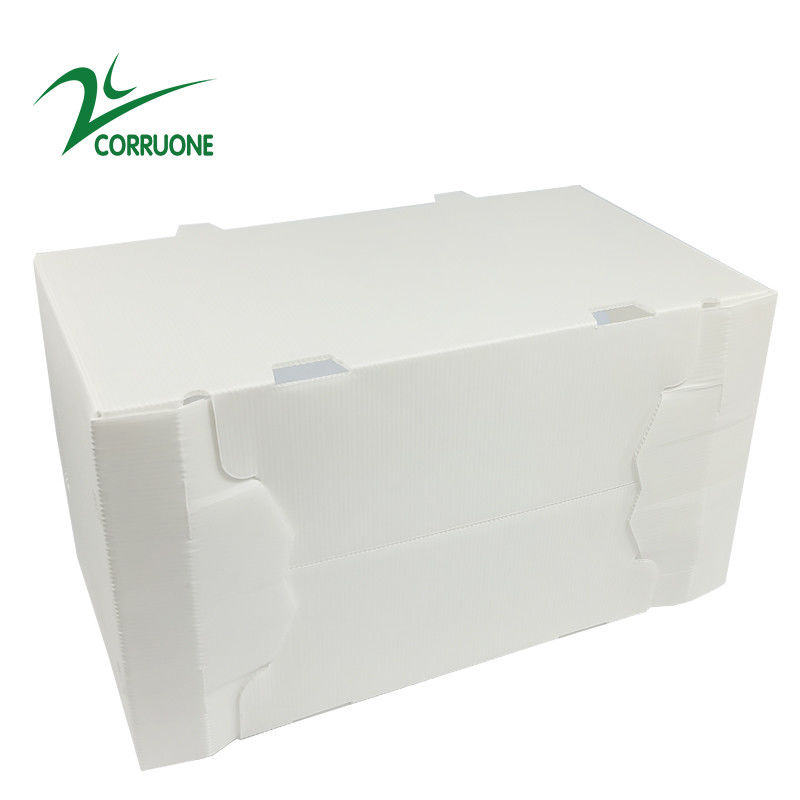 πτυσσόμενα ζαρωμένα πλαστικά κιβώτια Coroplast Correx χαρτοκιβωτίων 2mm11mm κοίλα