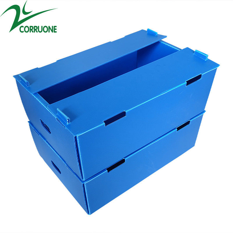 Χονδρικό επαναχρησιμοποιήσιμο Stackable ζαρωμένο PP πλαστικό συσκευάζοντας κιβώτιο φρούτων και λαχανικών