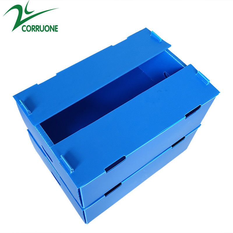 Χονδρικό επαναχρησιμοποιήσιμο Stackable ζαρωμένο PP πλαστικό συσκευάζοντας κιβώτιο φρούτων και λαχανικών