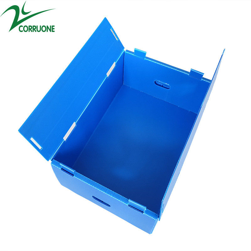 Χονδρικό επαναχρησιμοποιήσιμο Stackable ζαρωμένο PP πλαστικό συσκευάζοντας κιβώτιο φρούτων και λαχανικών