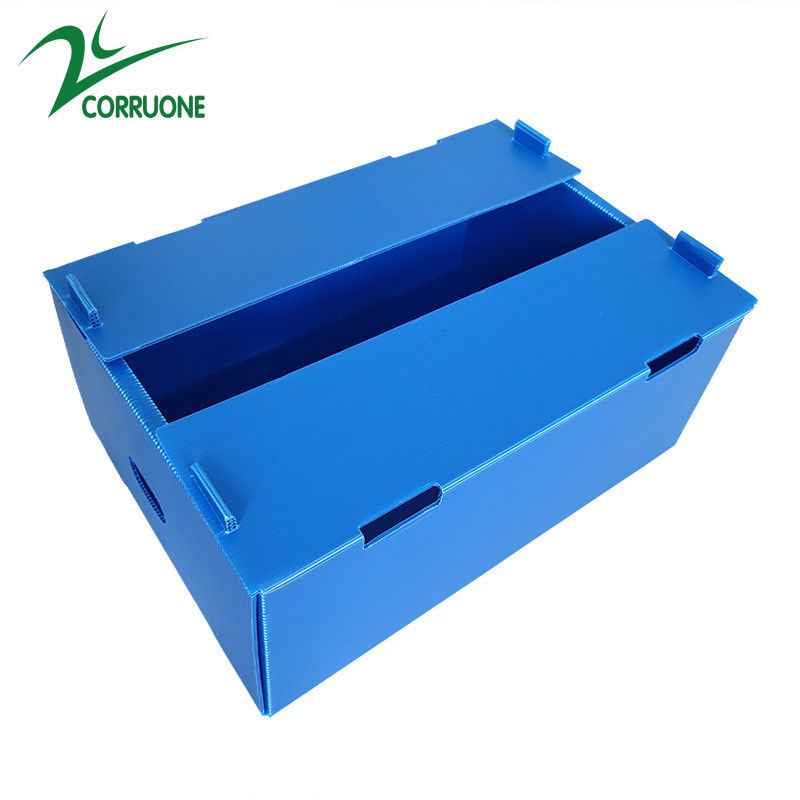 Χονδρικό επαναχρησιμοποιήσιμο Stackable κιβώτιο φρούτων και λαχανικών PP κοίλο ζαρωμένο πλαστικό Corflute συσκευάζοντας
