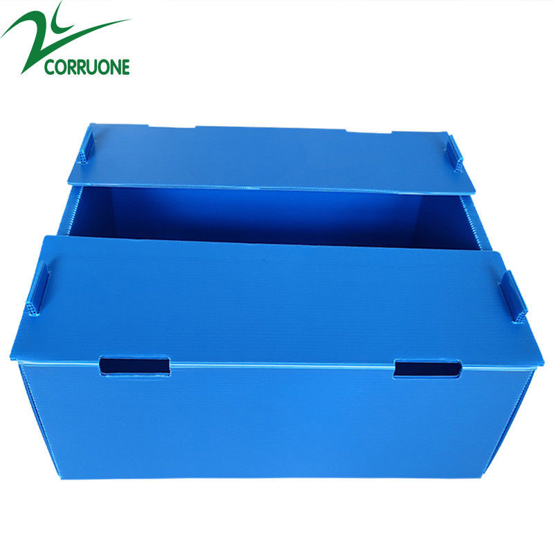 Χονδρικό επαναχρησιμοποιήσιμο Stackable κιβώτιο φρούτων και λαχανικών PP κοίλο ζαρωμένο πλαστικό Corflute συσκευάζοντας