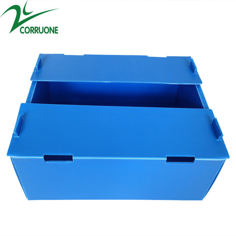 Χονδρικό επαναχρησιμοποιήσιμο Stackable κιβώτιο φρούτων και λαχανικών PP κοίλο ζαρωμένο πλαστικό Corflute συσκευάζοντας
