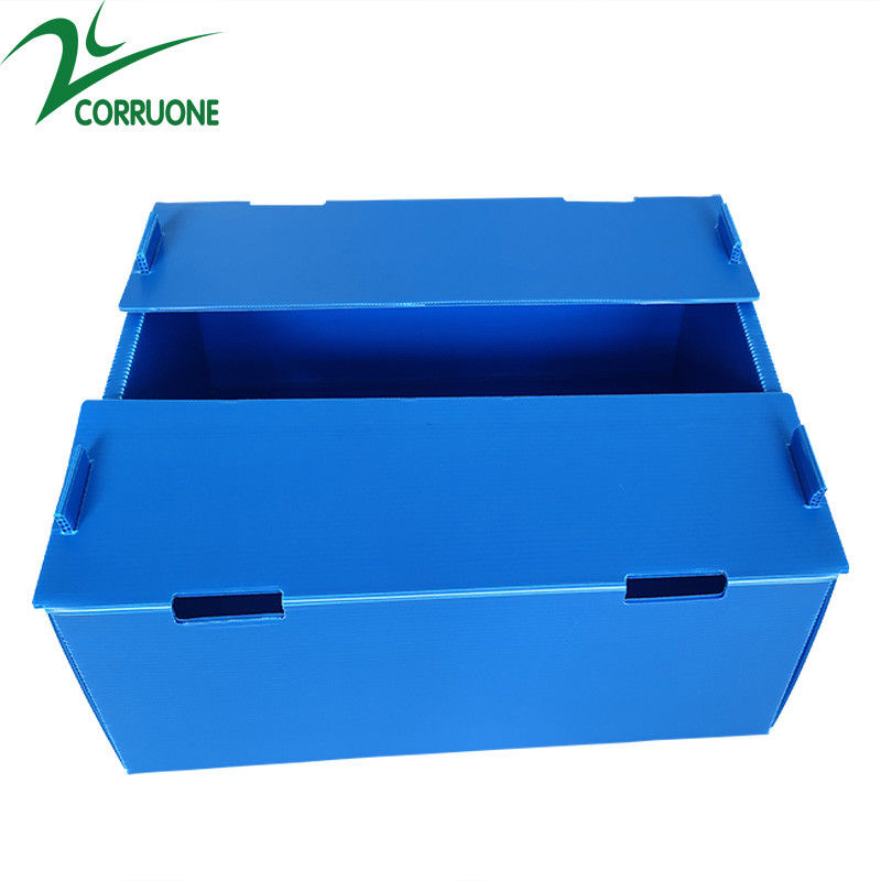 Χονδρικό επαναχρησιμοποιήσιμο Stackable κιβώτιο φρούτων και λαχανικών PP κοίλο ζαρωμένο πλαστικό Corflute συσκευάζοντας