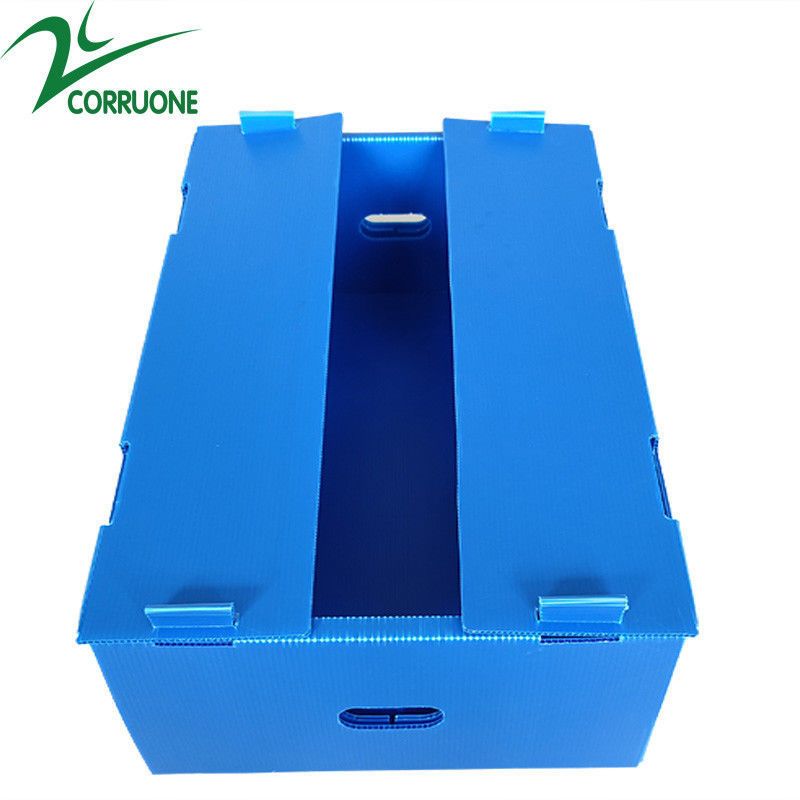 Χονδρικό επαναχρησιμοποιήσιμο Stackable κιβώτιο φρούτων και λαχανικών PP κοίλο ζαρωμένο πλαστικό Corflute συσκευάζοντας