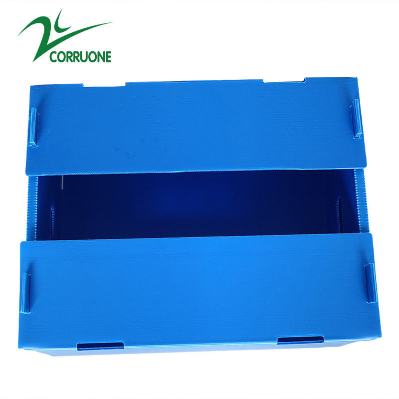 Χονδρικό επαναχρησιμοποιήσιμο Stackable κιβώτιο φρούτων και λαχανικών PP κοίλο ζαρωμένο πλαστικό Corflute συσκευάζοντας