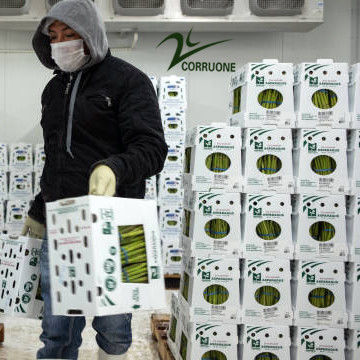Προσαρμόστε τα ανακυκλώσιμα φρούτα και λαχανικά