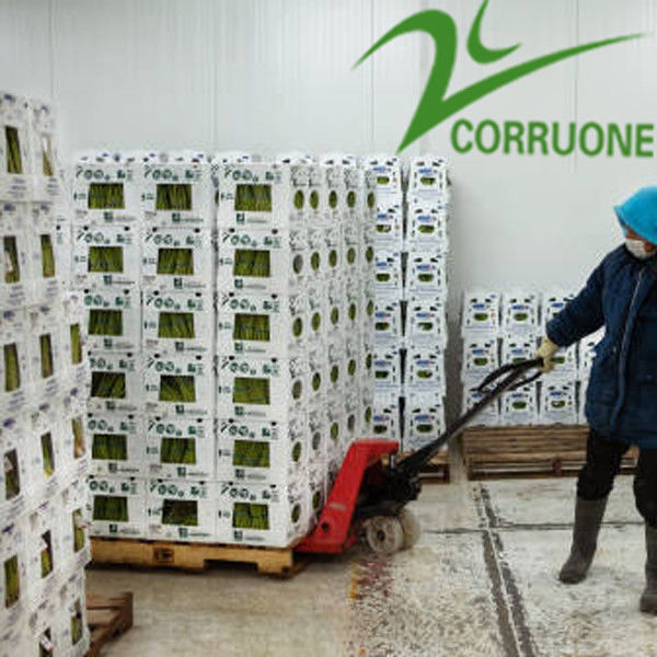 Μαύρα εμπορευματοκιβώτια αποθήκευσης Corriflute ζαρωμένα φρούτα ζαρωμένα κιβώτια πλαστικά