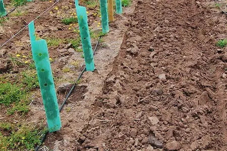 Προσαρμοσμένη κυματισμένη πλαστική προστασία δέντρων από υλικό PP για προστασία