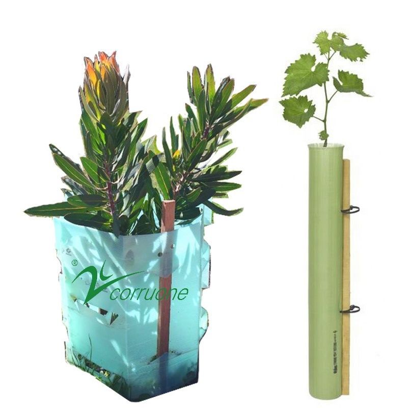 Κόκκινες 100% PE φρουρές UV ανθεκτικά 2mm12mm δέντρων Corflute πλαστικές